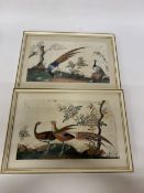 A PAIR OF FRAMED CHINESE SILK HAND PAINTED PICTURES OF BIRDS IN A GARDEN - 24 X 35 CM