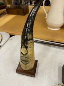 A HAND CARVED BUFFALO HORN WITH AN AFRICAN STYLE TRIBAL FACE