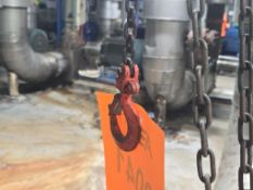 Palo Alto Industrial Lift Products 1 Ton Pulley Hoist