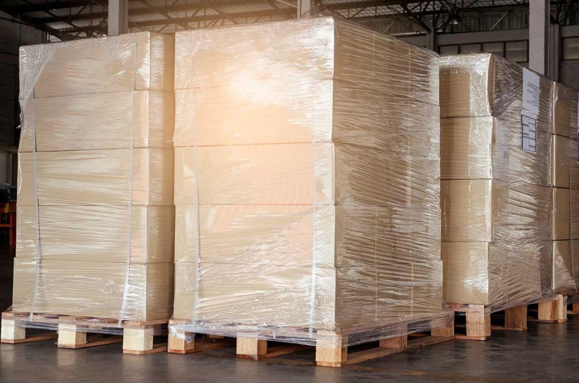 Viral Trending Clothing Pallet 600-900pcs Mixed Stock Whatnot eBay Amazon Reseller Goldmine