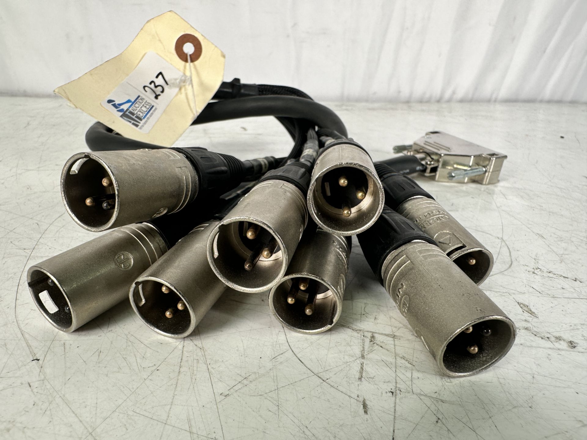 Mogami 2932 3ft 8-Channel DB25 to XLR Snake Cable - Image 2 of 3