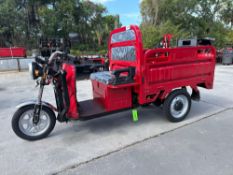 UNUSED 2026 HIGH-END ELECTRIC 3 WHEELED TRICYCLE MODEL IRET13, FOLD DOWN BED WALLS, LED HEADLIGHTS,