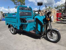 UNUSED 2026 HIGH-END ELECTRIC 3 WHEELED TRICYCLE MODEL IRET13, FOLD DOWN BED WALLS, LED HEADLIGHTS,