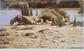 Spencer Hodge Signed Limited Edition