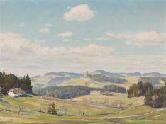 Albrecht Dunzendorfer: Mühlviertler Landschaft