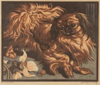 Norbertine Bresslern-Roth: Pekinese