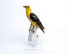 Porzellanfigur, "Pirol", KPM Berlin, polychrom, Modellentwurf von Johann Baptist Pedrozzi (1710-177