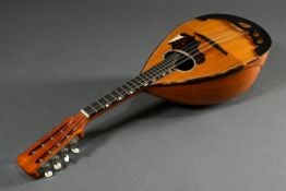 Berliner Rundbauch Mandoline, Werkstatt Hans Ragotzky nach Konrad Wölki, Zettel innen mit Seriennum