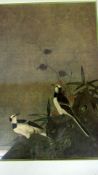 Bild asiatisch Vogelpaar