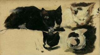 Pochwalski, Kasimir (1855 Krakau -