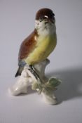 ENS Vogel
