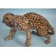 Nymphenburg Westen Germany " Leopard" - Bild 1 aus 3