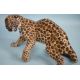 Nymphenburg Westen Germany " Leopard" - Bild 2 aus 3