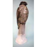 Rosenthal Porzellan Großer Bussard