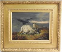 William Woodhouse (England 1857-1939) Adler attackiert Schafe