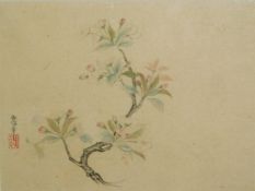 Kano ISEN'IN (Japan 1775-1828) Blühende Zweige