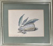Hella Lenz, Shells and leaves