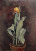 Rostosky. Sich entfaltende Blume