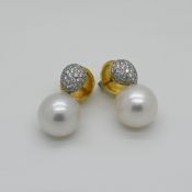 1 Paar Ohrstecker GG 18ct. BUCHWALD Design