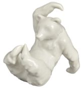 Spielender Bär