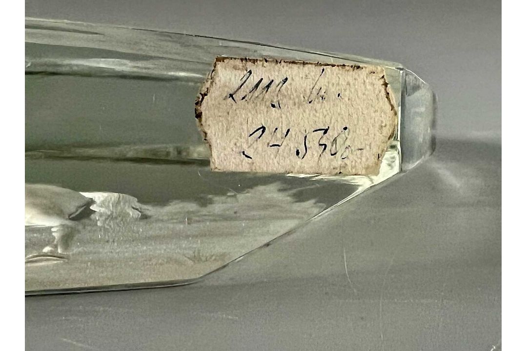 Vladimír Skála für Moser, Kristallglas Skulptur / Glasskulptur Pferd, Tiefengravur um 1993 - Bild 6 aus 9