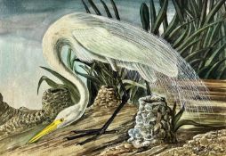 Audubon, John James (1785-1851) nach, Aquarell Silberreiher, datiert wohl 1923, unleserlich signiert