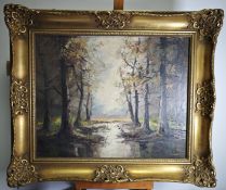 Waldlandschaft 