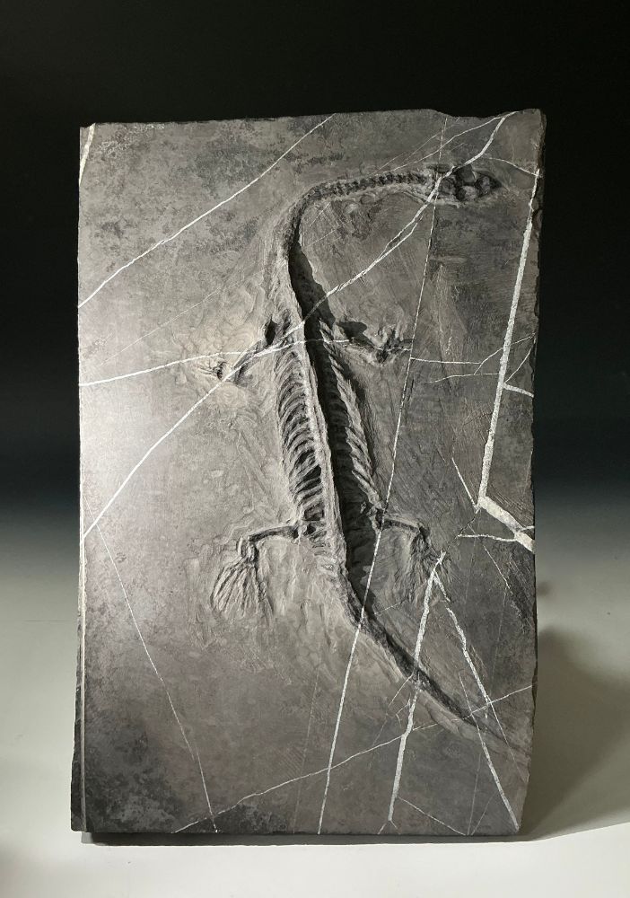 Unearthed: Antiquities, Fossils, Geology, and Finds from Beneath the Soil