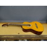 'Strong Wind' acoustic guitar