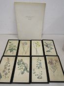 Pierre - Joseph Redoute's 'Roses' book of illustrated roses and a set 8 hand coloured floral plates
