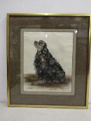 John Hawkestone original pastel 'MOFFAT' King Charles Cavalier dated 1971, mounted34x39cm framed and