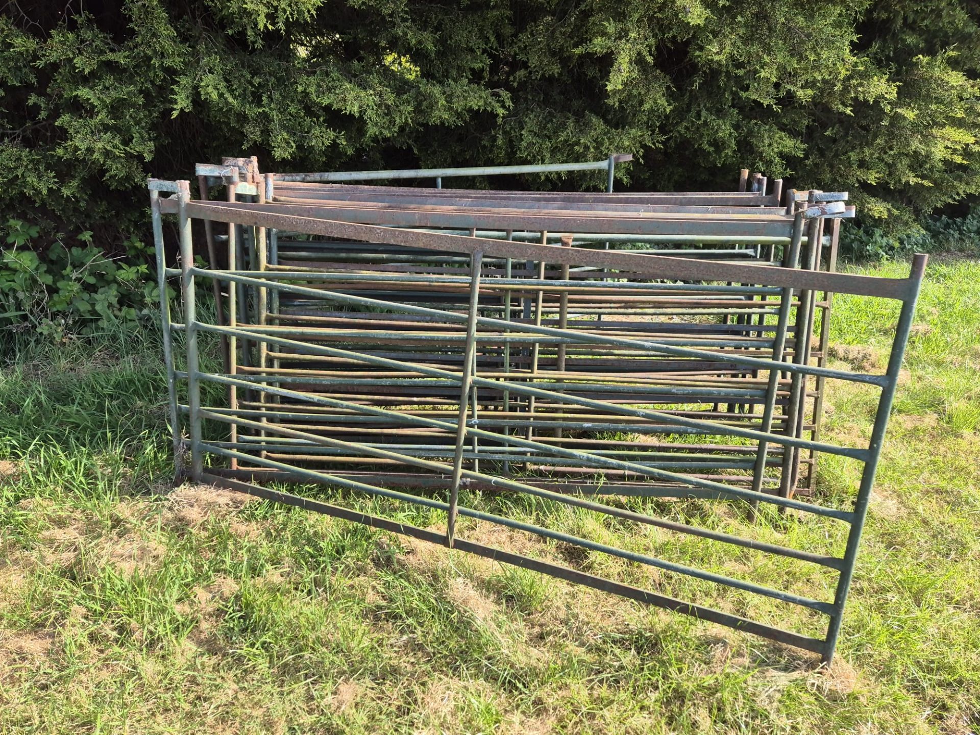 6ft sheep hurdles x 13 - Image 3 of 3