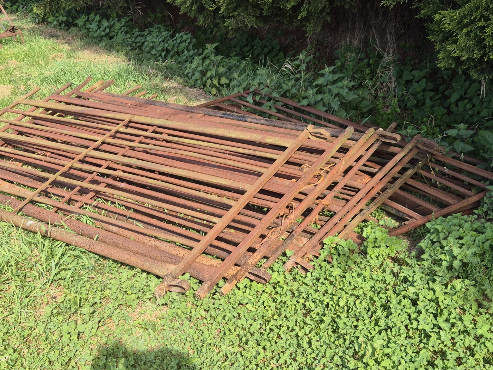 6ft sheep hurdles x 13