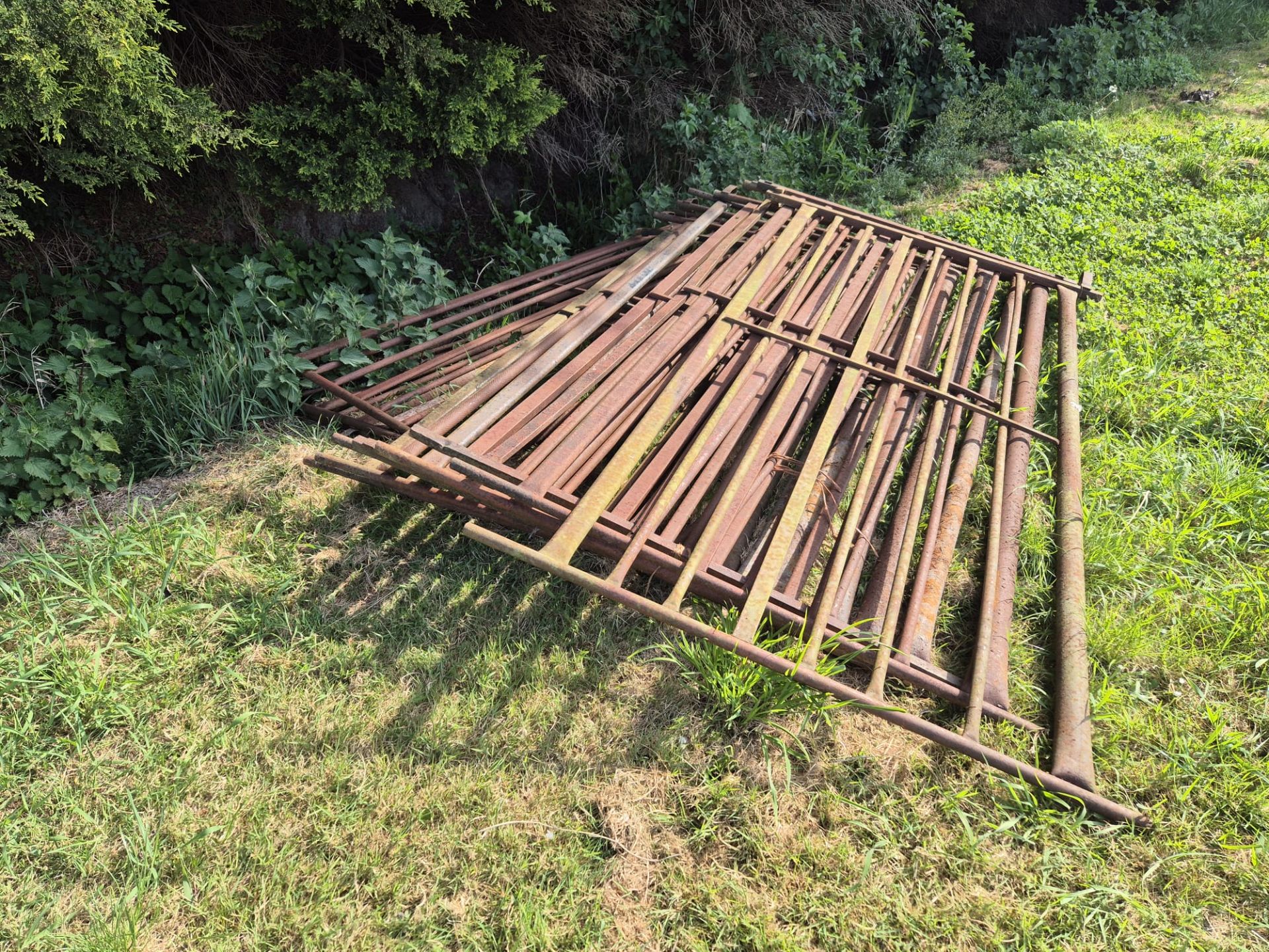 6ft sheep hurdles x 13 - Image 2 of 2