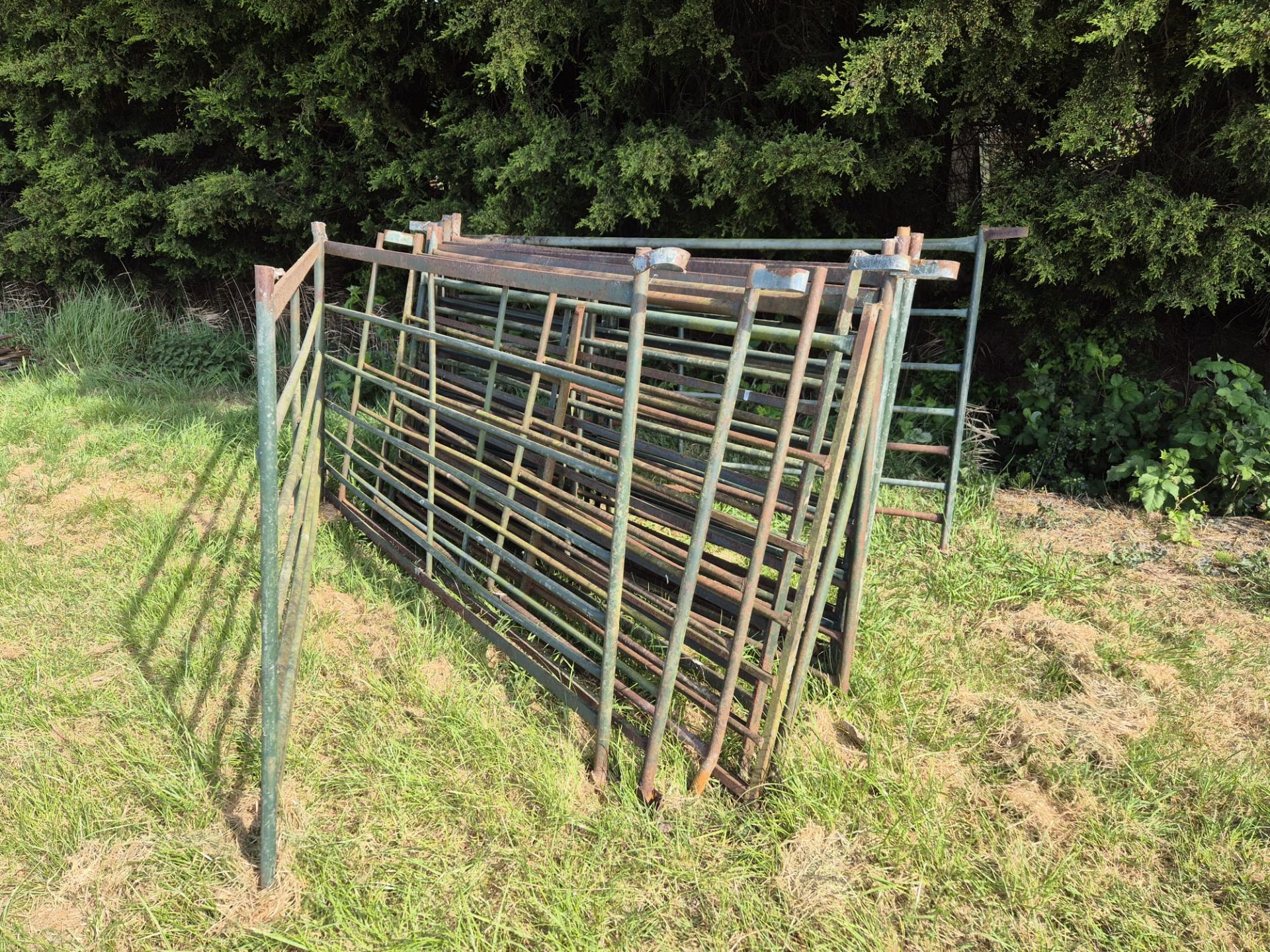 6ft sheep hurdles x 13 - Image 2 of 3