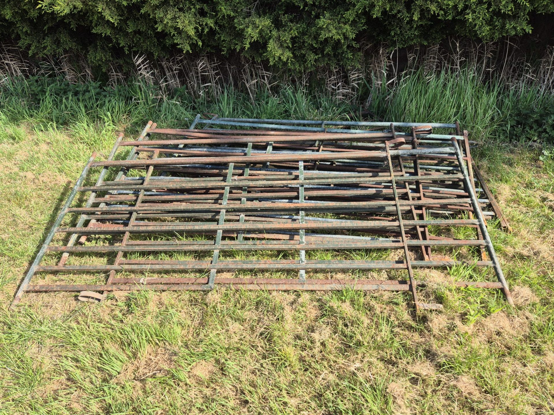 7.5ft pig hurdles x 11 - Image 2 of 2