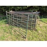 6ft sheep hurdles x 13