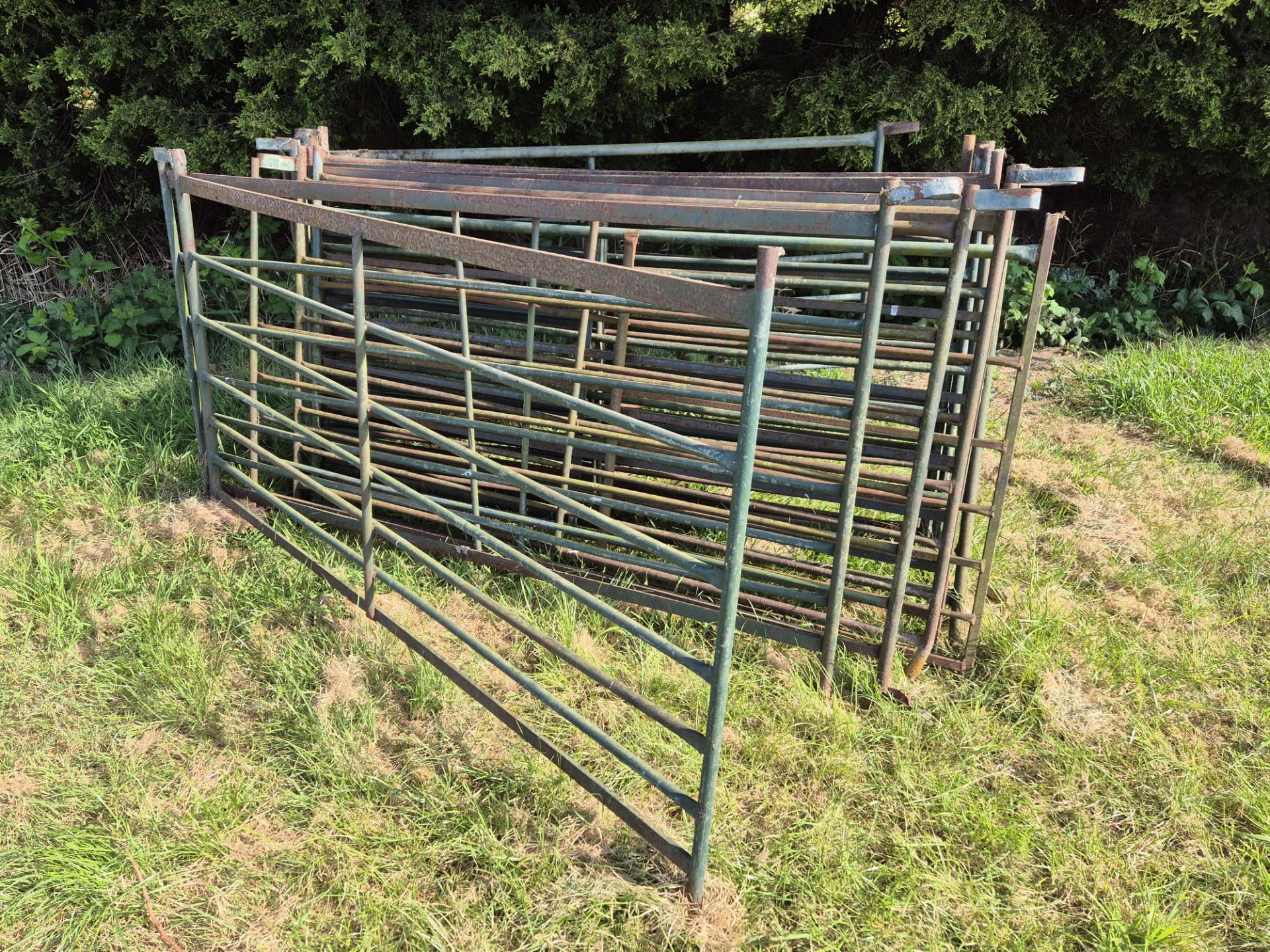 6ft sheep hurdles x 13