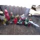 Assortment of Garden Ornaments - Image 2 of 4