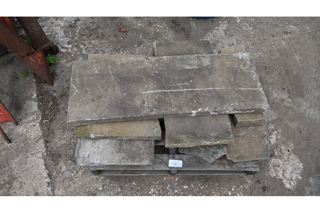 Various sizes of Yorkstone slabs
