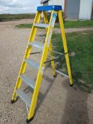 Fibreglass step ladder