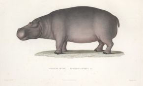 Lefebvre, Théophile: Voyage en Abyssinie exécuté pendant les années 1839, 184...