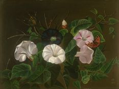 Deutsch oder Dänisch: 1852. Zaunwinden mit Schmetterlingen