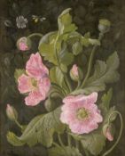 Nørbye, Anna L. Vilhelmine: Rosa Klatschmohn