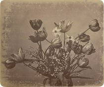 Braun, Adolphe: Flower study