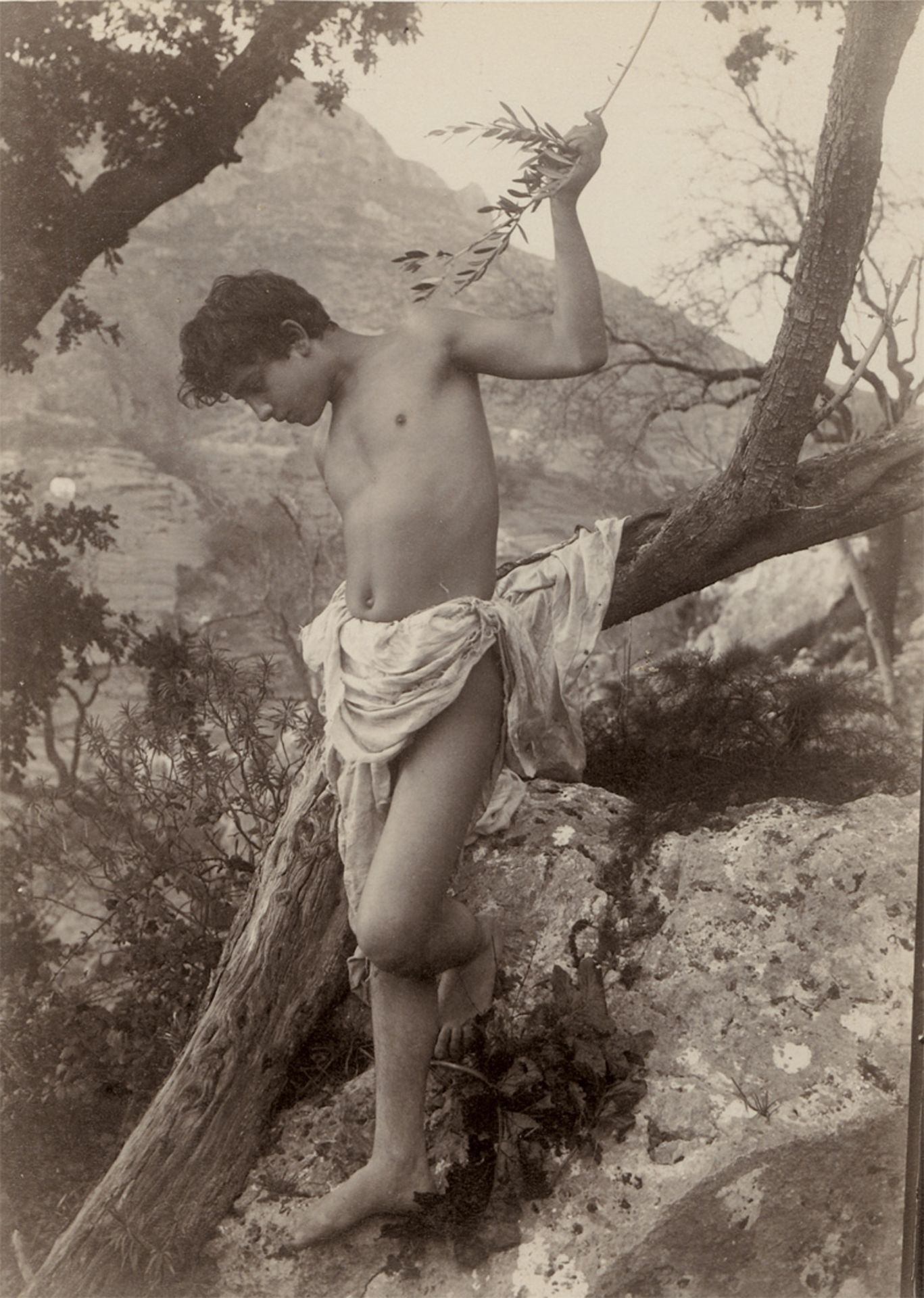Gloeden, Wilhelm von: Young boy leaning on tree branch