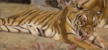 Deutsch: um 1920. Bengal-Tiger, liegend