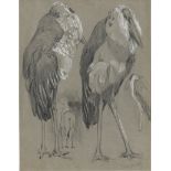 Westphal, Friedrich: Marabus