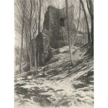 Müller, Richard: Rotwild vor der Burgruine Rýzmburk bei Osek im tschechis...