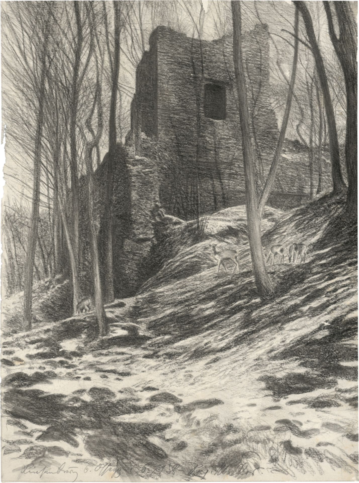 Müller, Richard: Rotwild vor der Burgruine Rýzmburk bei Osek im tschechis...